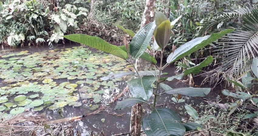 Terreno à venda em Verde Mar - SP