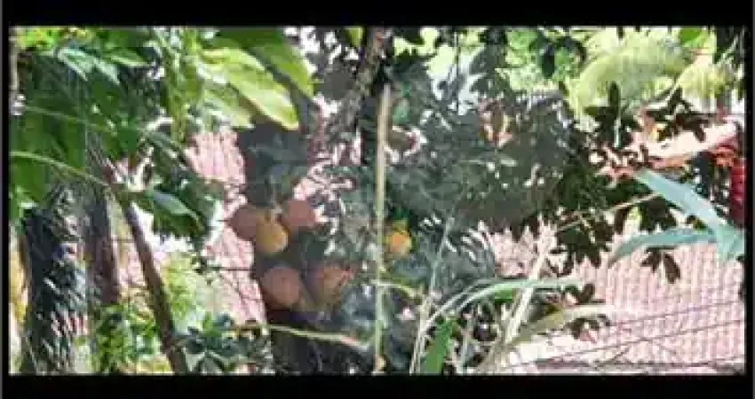 Terreno à venda na Dom Antônio Barreiros, Prainha, Caraguatatuba