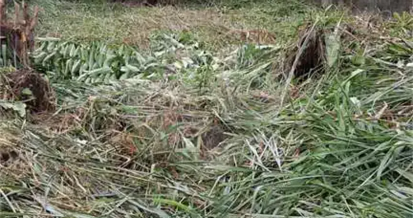 Terreno à venda na Rua Nove, Capricórnio II, Caraguatatuba