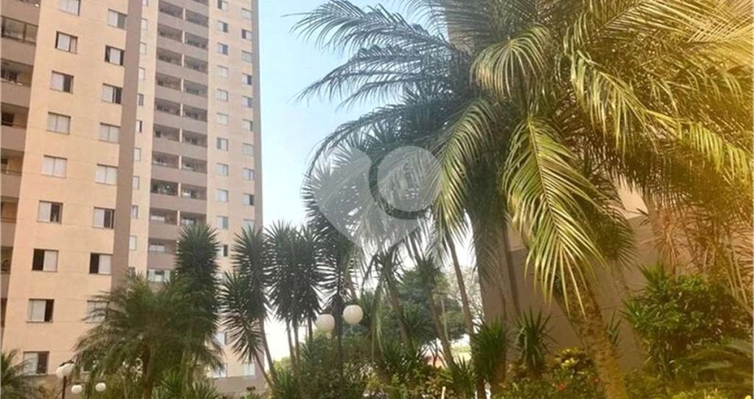 Apartamento com 3 quartos para locação em Vila Camilópolis - SP