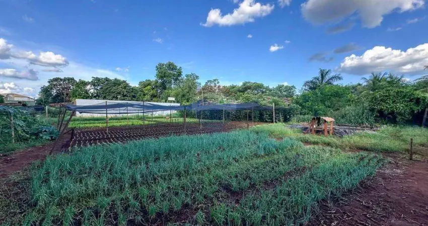 Terreno para venda,  4020m² - antônio marincek - ribeirão preto