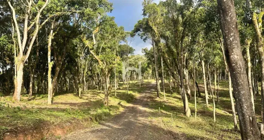 Chácara / sítio à venda na Bosque Bateias, Bateias de Baixo, Campo Alegre