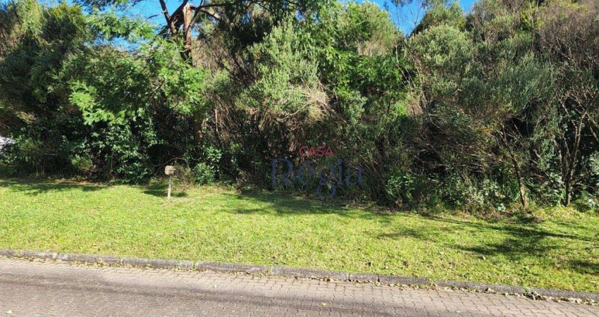 Terreno à venda na Avenida Dos Ipês, 4, Reserva da Serra, Canela