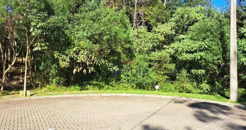 Terreno em condomínio fechado à venda na Estrada Linha ávila, 10, Vale das Colinas, Gramado