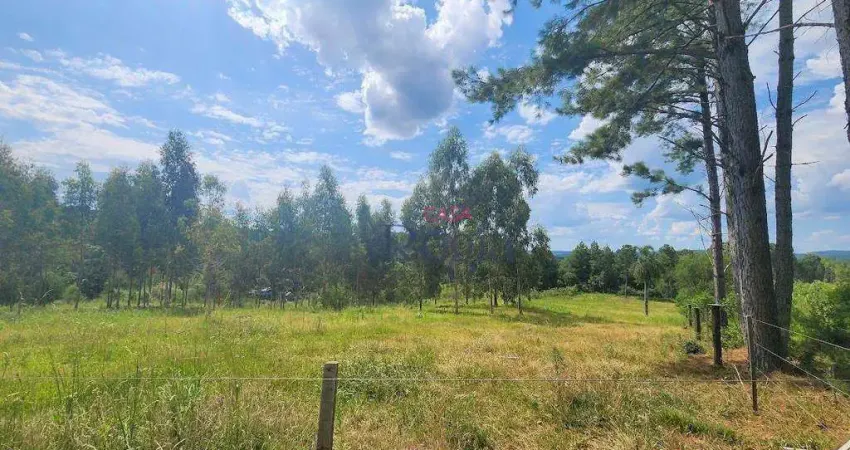 Terreno à venda na Rua João de Deus Palhano, 1, Caracol, Canela