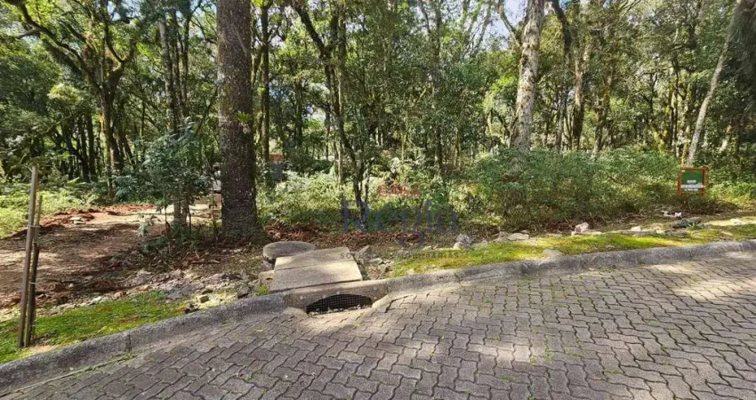 Terreno em condomínio fechado à venda na Rua José Pedro Piva, 6, Parque Pinheiro Grosso, Canela