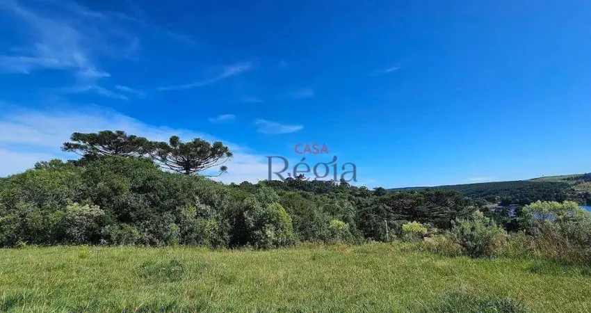 Casa com 2 dormitórios à venda, 115 m² por R$ 550.000,00 - Distrito Eletra - São Francisco de Paula/RS