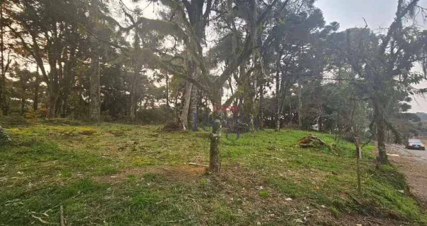 Terreno à venda, 407 m² por R$ 309.488,00 - São Luiz - Canela/RS