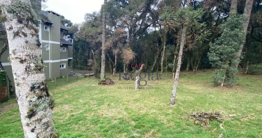 Terreno à venda, 595 m² por R$ 1.400.000,00 - Centro - Canela/RS