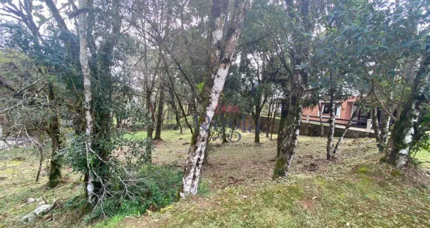 Terreno à venda, 707 m² por R$ 1.800.000,00 - Centro - Canela/RS
