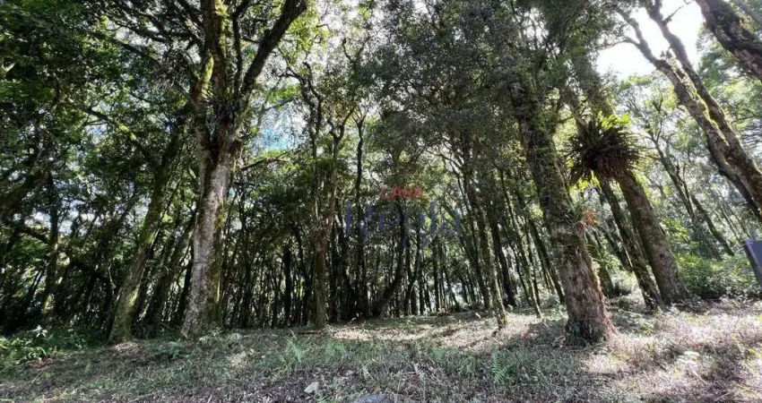 Terreno a venda no Residencial Pinheiro Grosso em Canela/RS!