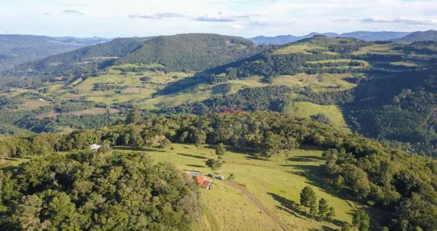 Chácara / sítio com 3 quartos à venda na Estrada Municipal São João - Moreiras, 7 de Setembro, Canela