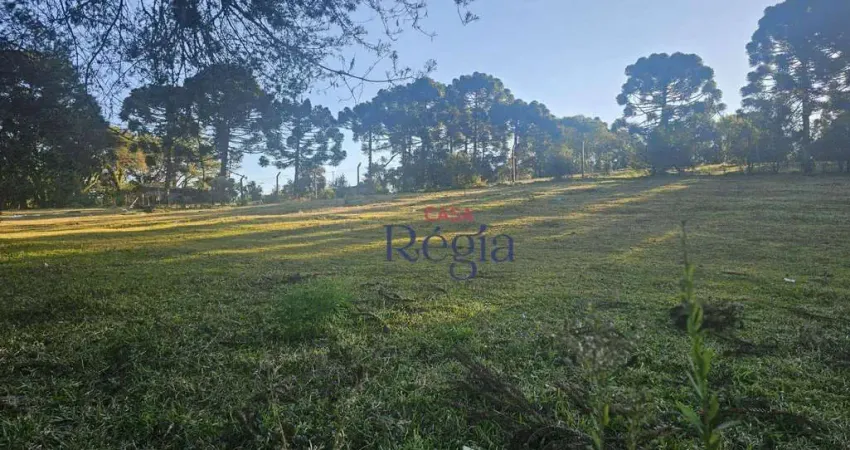 Terreno em condomínio fechado à venda na Rua Pinheiro Machado, 19, Canelinha, Canela