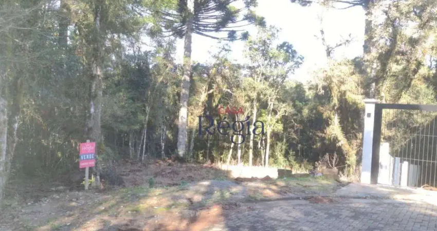 Terreno em condomínio fechado à venda na Rua dos Pessegueiros, 13, Vivendas do Arvoredo, Gramado