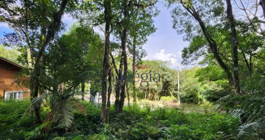 Terreno à venda na Beco da Avenca, 1, Vila do Cedro, Canela