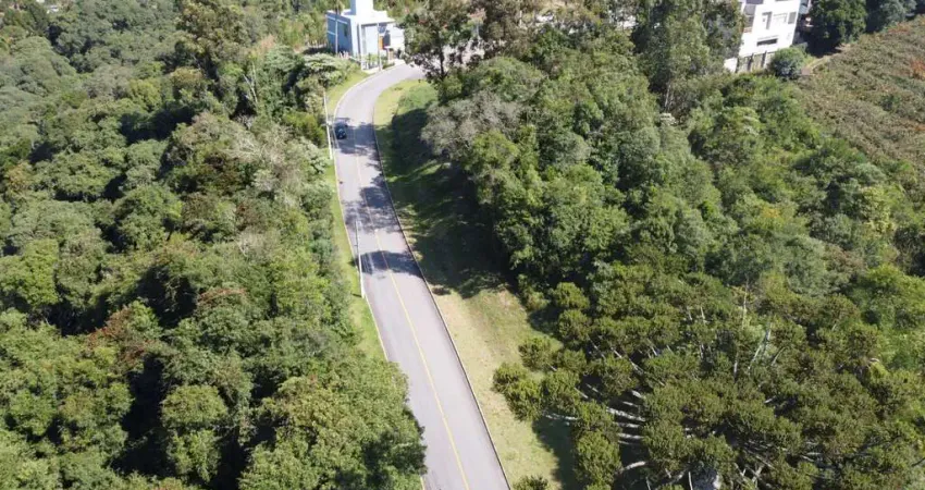 Terreno para venda no bairro Santo Antão  em Bento Gonçalves