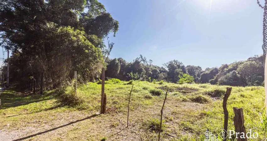 Terreno à venda, 6.972 m² privativos  del rey, são josé dos pinhais, pr