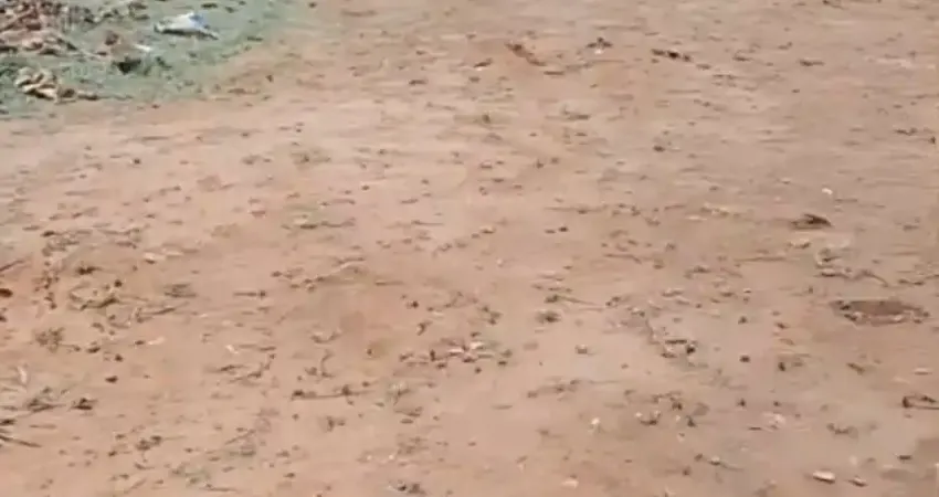 Ótimo terreno de 250 m² no Terra de Santa Maria ótima localização.