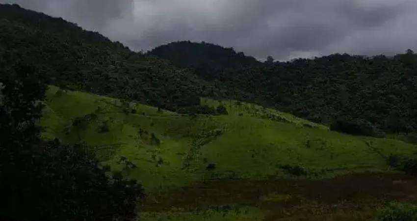 Chácara / sítio com 2 quartos à venda na R., Parque Mirante de Parnaíba, Santana de Parnaíba