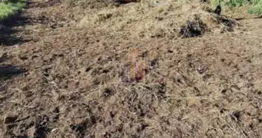 Invista no seu futuro! terreno de 11x33 metros em val de palmas com grande potencial