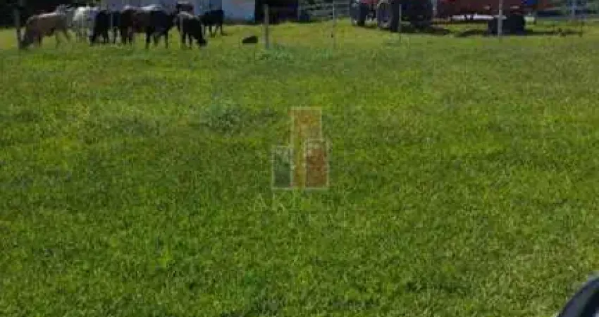 Sítio em área rural de cabrália paulista, (cabrália paulista) - sp