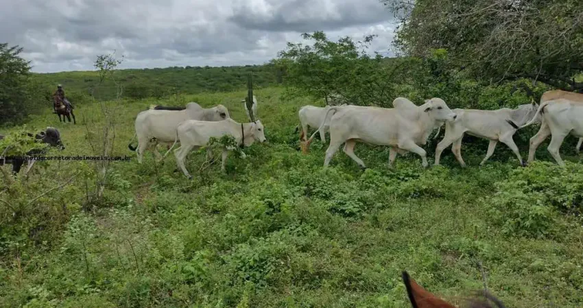Fazenda à venda na Rua São Pedro, s/n, Potengi, Natal