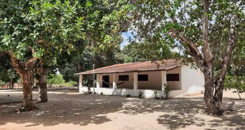 Chácara / sítio à venda na Rua Rodolfo Maranhão- cana brava, S/N, Centro, Macaíba