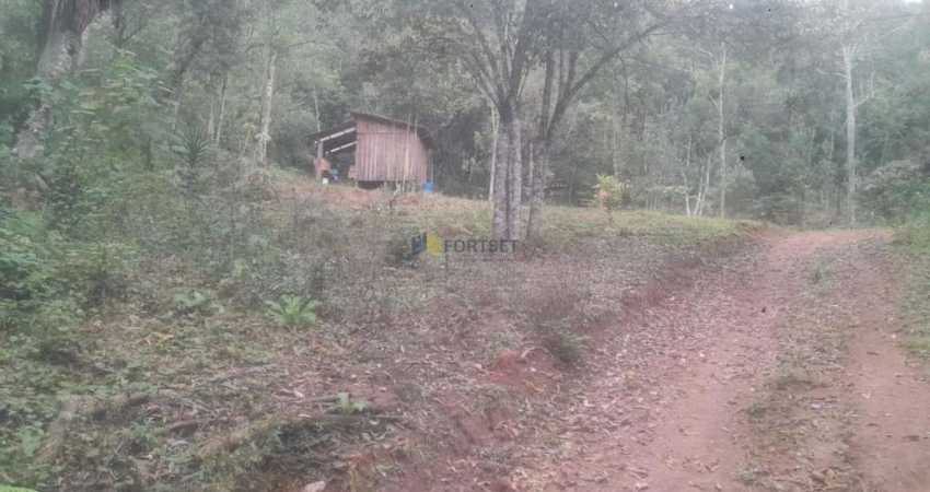 Chácara à venda, ITAIACOCA  PONTA GROSSA - PR