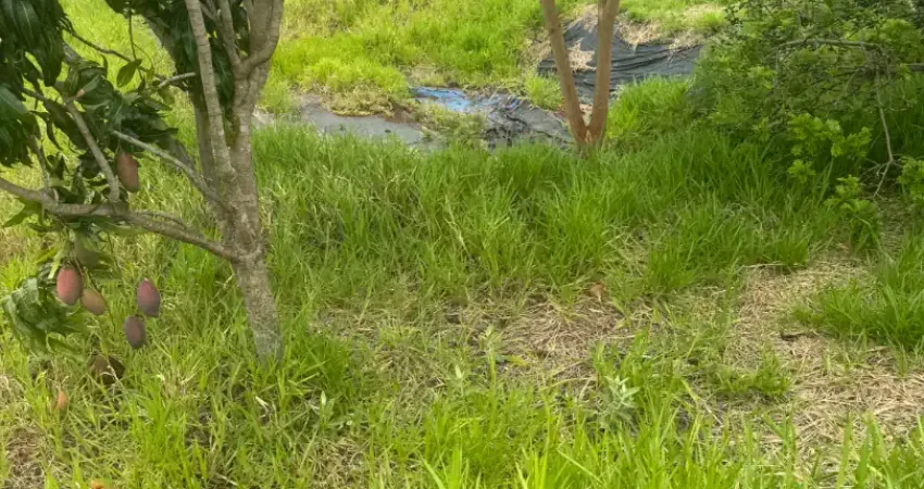 Chácara à venda – localização privilegiada na estrada paulo sérgio guerra