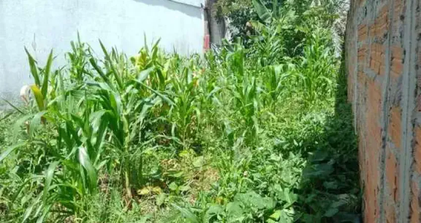 Terreno Urbano para Venda em Suzano, Vila Urupês