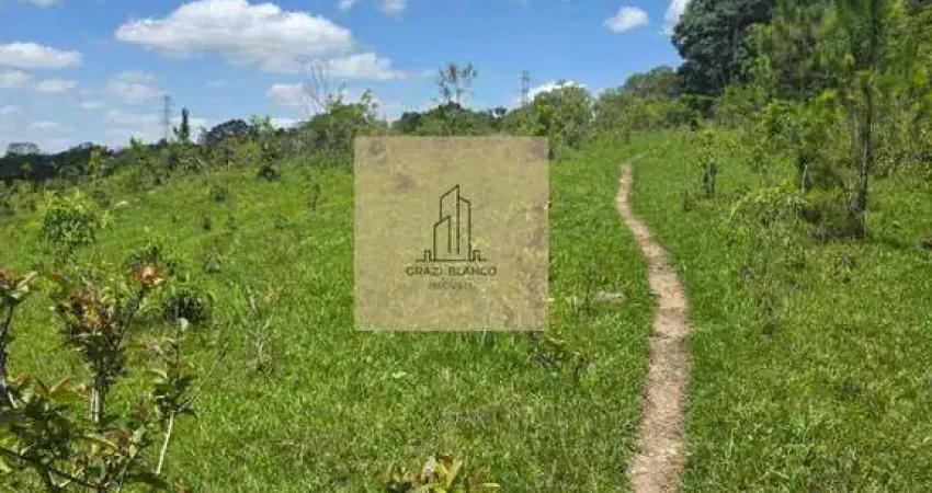 Chácara / sítio à venda na Estrada Municipal Carolina Paes Granjeiro, s/nº, Estância Ayres, Piedade