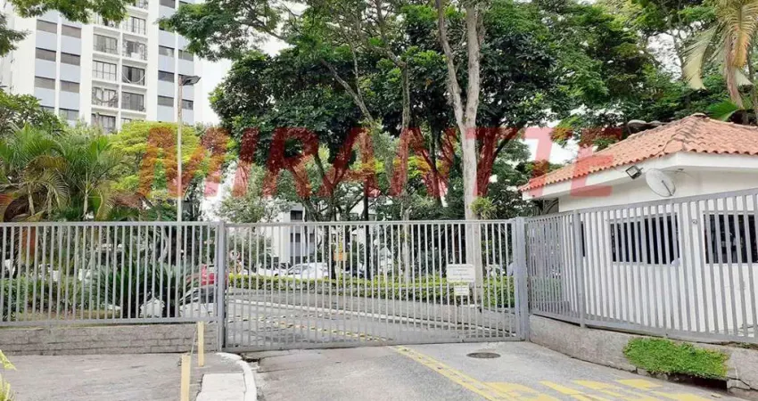 Apartamento de 82.5m² com 2 quartos em Lauzane Paulista