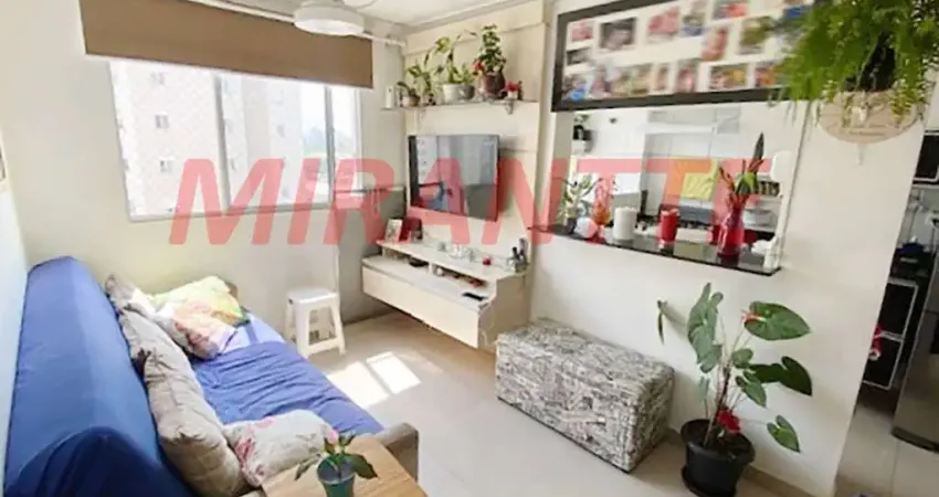 Apartamento de 54m² com 2 quartos em Parque Novo Mundo
