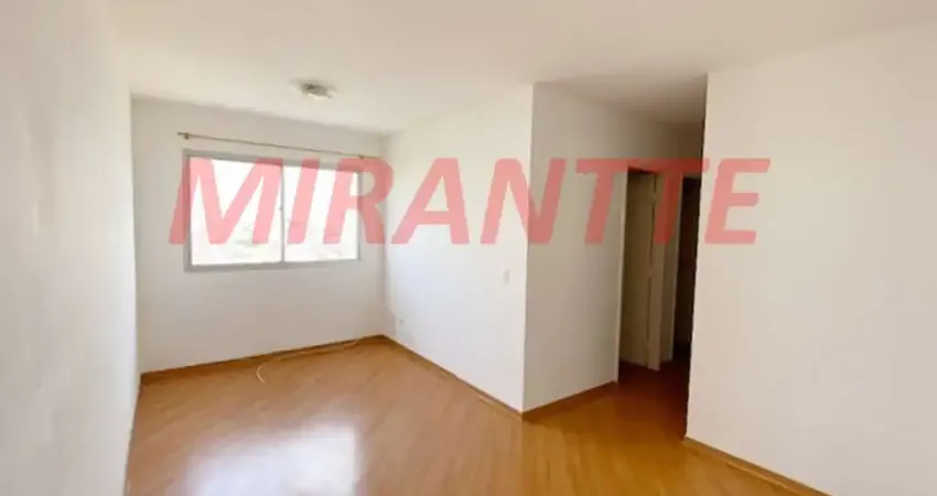 Apartamento de 60m² com 3 quartos em Imirim