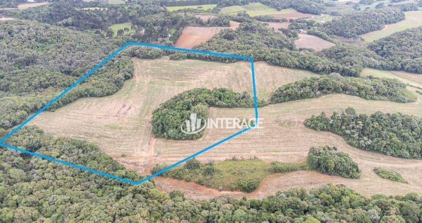 Área à venda, 72600 m² por R$ 2.320.000,00 - Jardim Cecilia - Campo Magro/PR