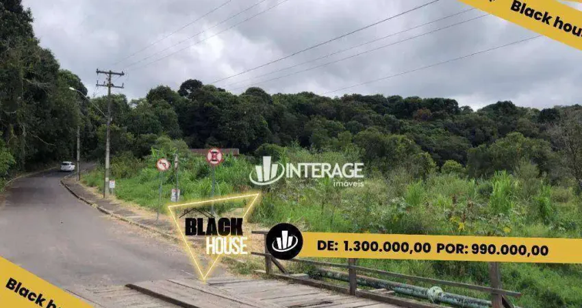 Terreno à venda, 7796 m² por r$ 990.000,00 - campo magro - campo magro/pr