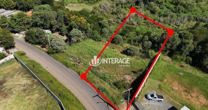 Terreno à venda, 8217 m² por R$ 670.000,00 - Butiatuvinha - Curitiba/PR
