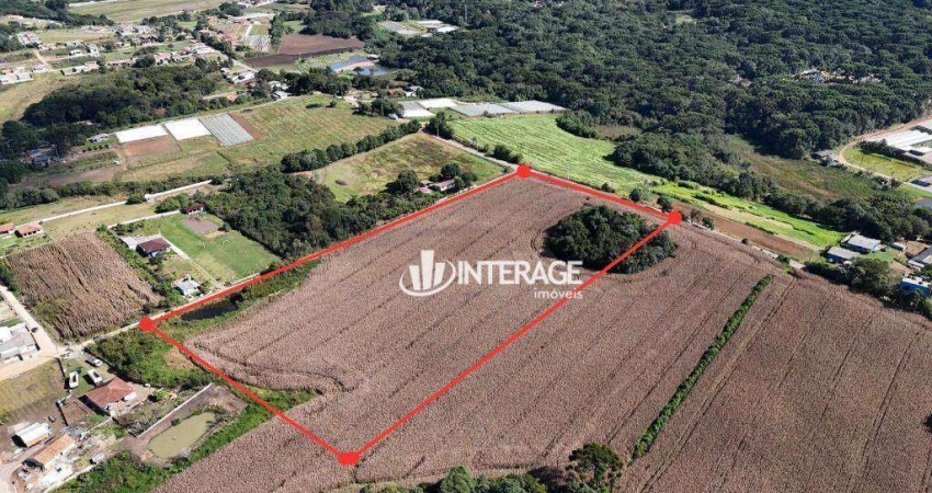 Área à venda, 26 m² por R$ 4.680.000,00 - Campina Do Taquaral - São José dos Pinhais/PR