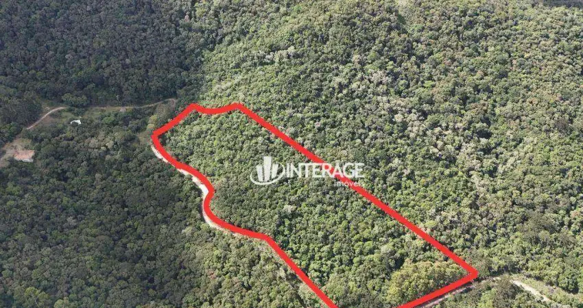 Área à venda, 27115 m² por R$ 450.000 - Bateias - Campo Largo/PR