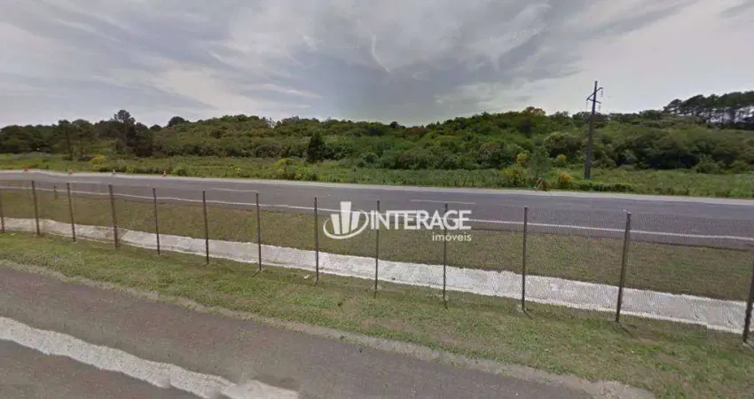 Área à venda, 396087 m² por R$ 14.000.000,00 - Borda Do Campo - São José dos Pinhais/PR