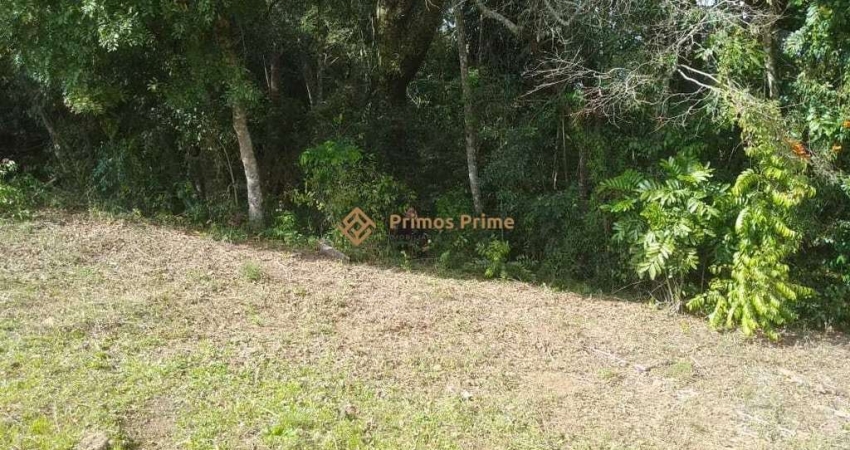 TERRENO A 50 MTS DA BR 476 - MARIENTAL - LAPA - PR - R  160.000,00