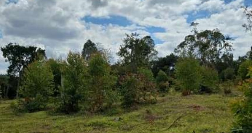 Chácara / sítio à venda na Zona Rural, Itatiaiuçu 