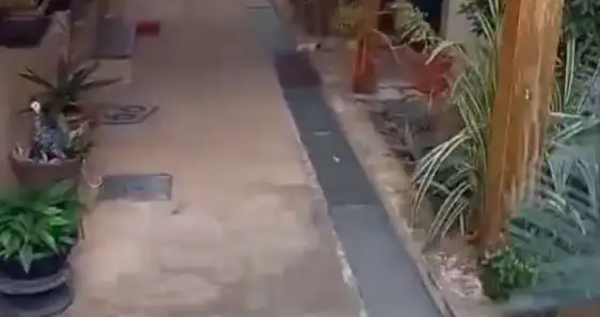 Apartamento com 2 quartos à venda na Alameda dos Comerciantes, Cândida Ferreira, Contagem