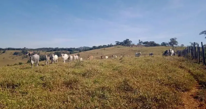 Fazenda à venda na Praça Do Cruzeiro, Centro, Crucilândia