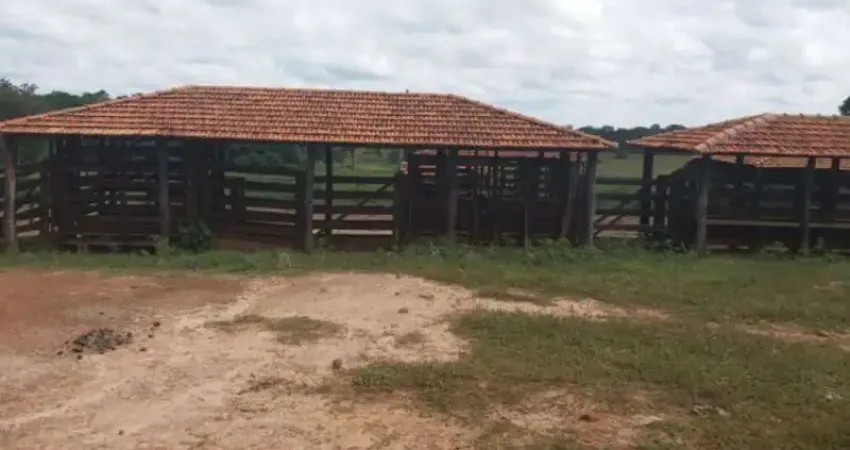 Fazenda à venda na Rua Olegário Maciel, Centro, Manga