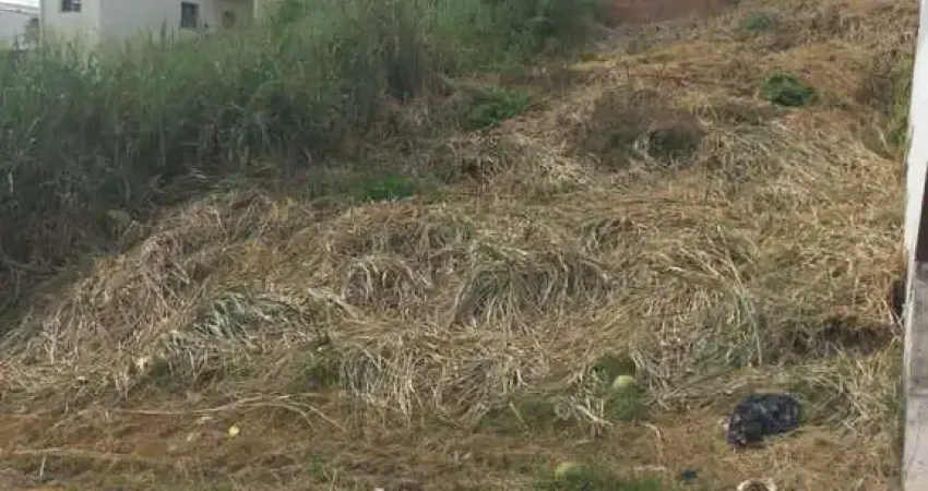 Terreno à venda na Alameda Das Gaivotas, Masterville, Sarzedo