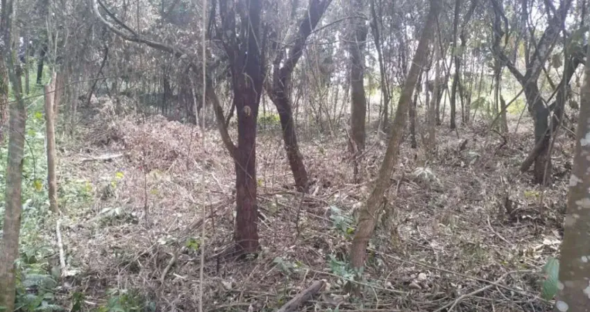 Terreno à venda na Avenida Magalhães Pinto, Centro, Mário Campos