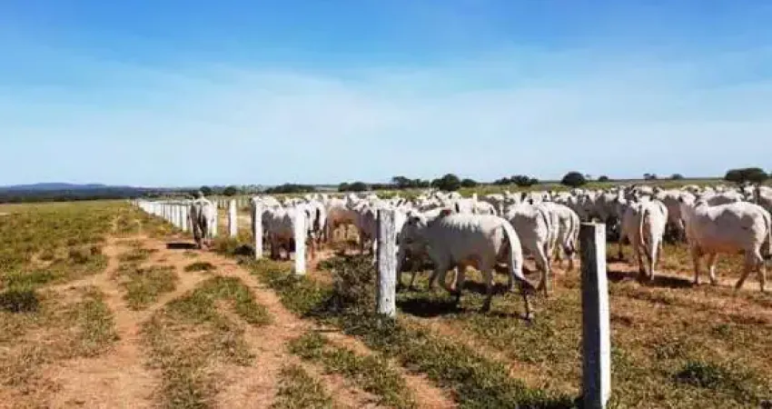 Fazenda à venda na Rua Cesário Alvim, Centro, Januária
