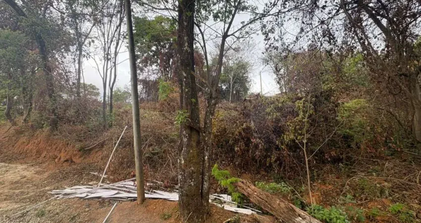 Fazenda à venda na Rua Antônio Pinheiro Diniz, Parque Estrela do Sul, Ibirité