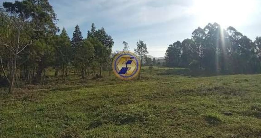 Sítio / Chácara para Venda em Torres, Rio Verde, 2 dormitórios, 1 banheiro, 1 vaga